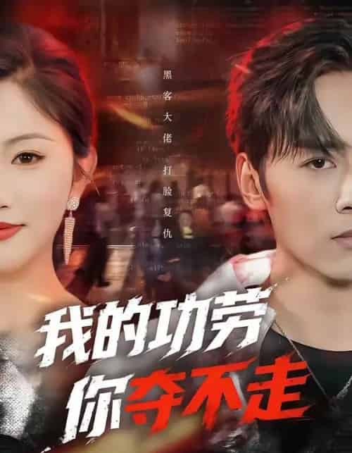 我的功劳，你夺不走（72集全）王硕＆李图图-搜外项目网