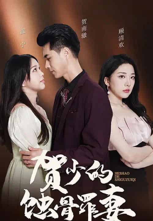 贺总裁夫人好绝情（101集全）-搜外项目网