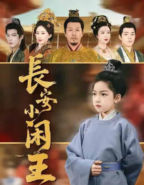 长安小闲王（76集全）王宏哲＆刘念伊-搜外项目网