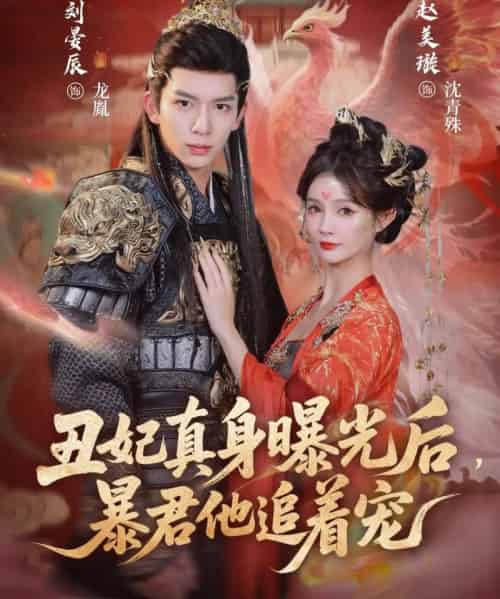 丑妃真身曝光后，暴君他追着宠（60集全）刘晏辰＆赵美璇-搜外项目网