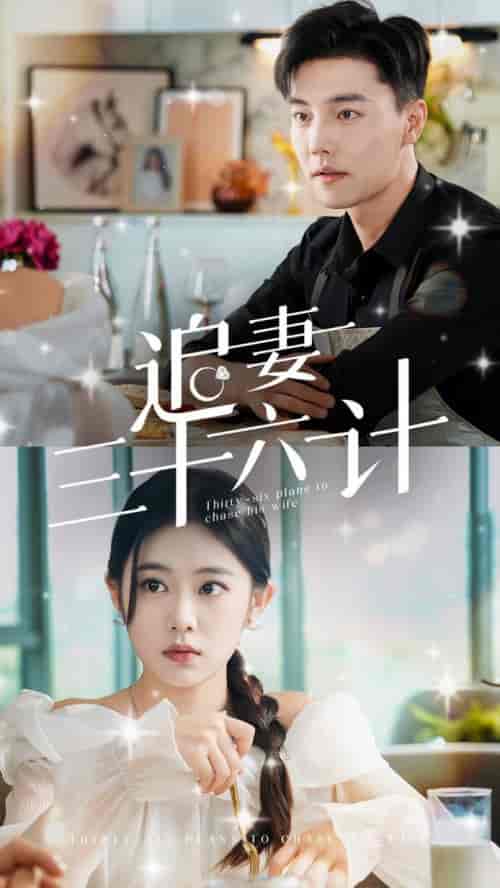 追妻三十六计（82集全）杜亚飞＆潘欣懿＆张诗媛-搜外项目网