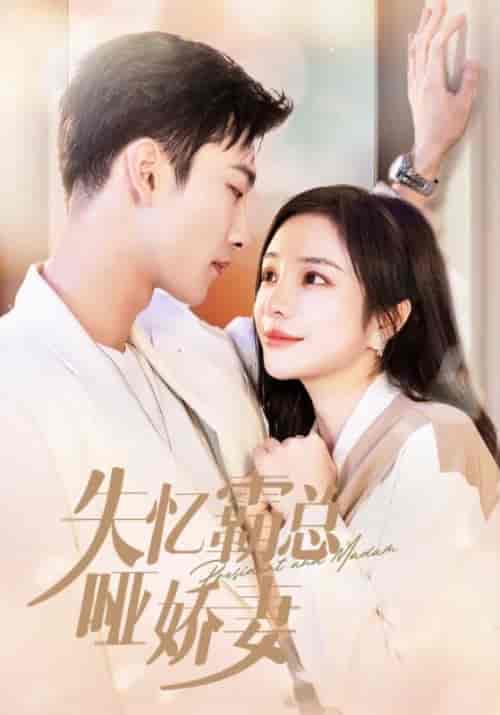 失忆霸总哑娇妻(40集全)姚冠宇&田熙雯-搜外项目网