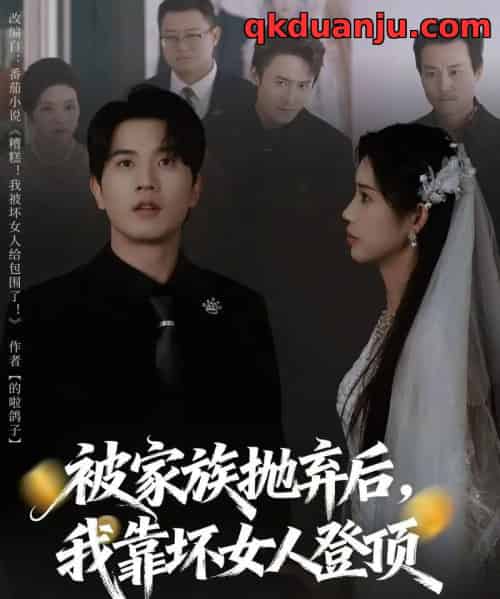 被家族抛弃后,我靠坏女人登顶&重生后,我靠人脉夺回少爷身份(80集全)李致逸&李可馨-搜外项目网