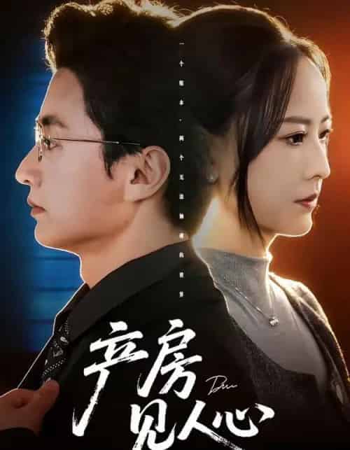 产房见人心（98集全）珑一＆任燕-搜外项目网