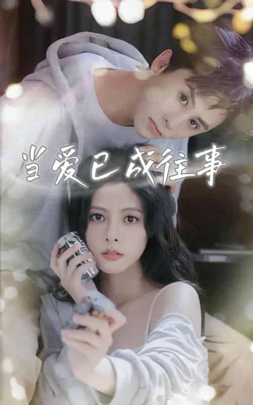 当爱已成往事(70集)王寒阳&苏晓晨&包晨希-搜外项目网