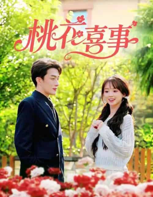 桃花喜事（63集全）叶庭＆蔡淼燕-搜外项目网