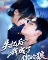 失忆后我成了你的狼（70集）何连飞-搜外项目网