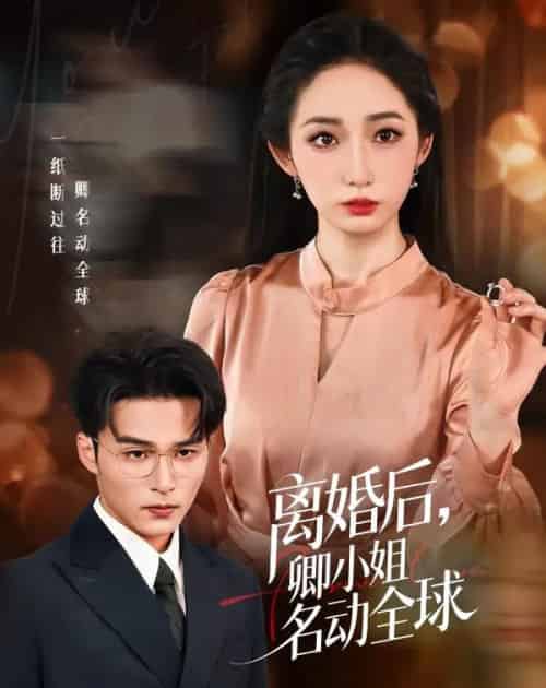 离婚后，卿小姐名动全球（60集全）徐忠慧＆王英杰-搜外项目网
