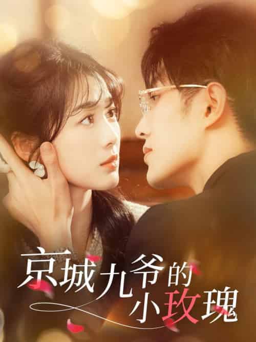 京城九爷的小玫瑰(85集全)冯祥琨&徐思祁-搜外项目网
