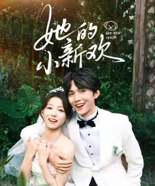 她的小新欢（84集全）王培延＆梁雯晶-搜外项目网