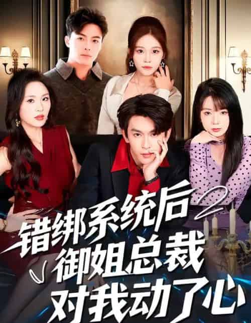 错绑系统后御姐总裁对我动了心（60集全）沈照程＆郑洋-搜外项目网