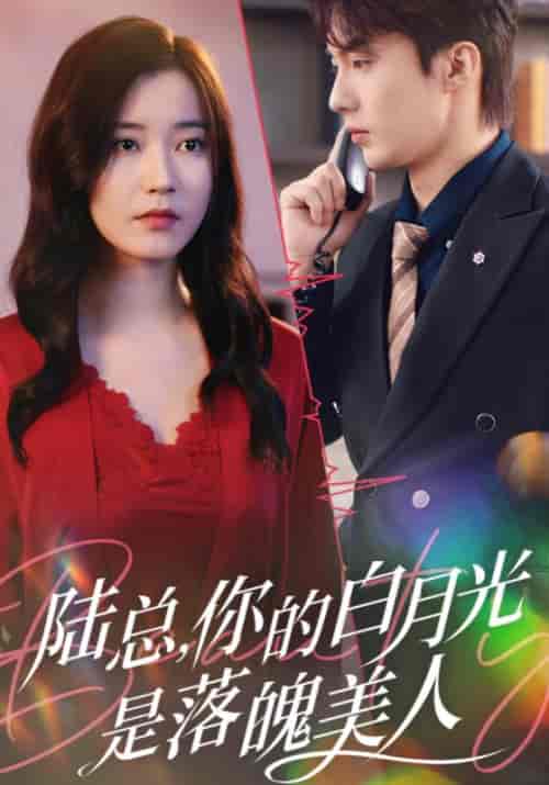 陆总，你的白月光是落魄美人（39集全）陆廷叶＆夏彤-搜外项目网