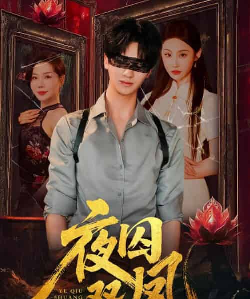 夜囚双凤（46集）何坤＆程艺佳＆涂蕊-搜外项目网