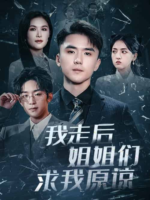 我走后姐姐们求我原谅（51集全）赵志盟＆伍月-搜外项目网