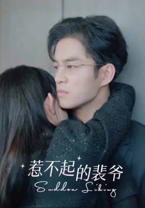 惹不起的裴爷（94集全）裴景行＆姜来-搜外项目网