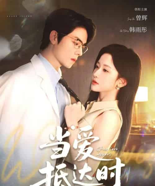当爱抵达时（79集）曾辉＆韩雨彤-搜外项目网