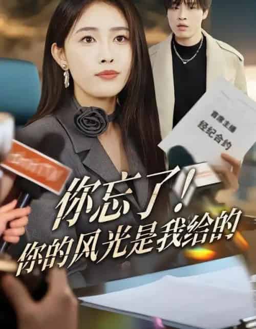 你忘了！你的风光是我给的（51集全）刘星辰＆大志-搜外项目网