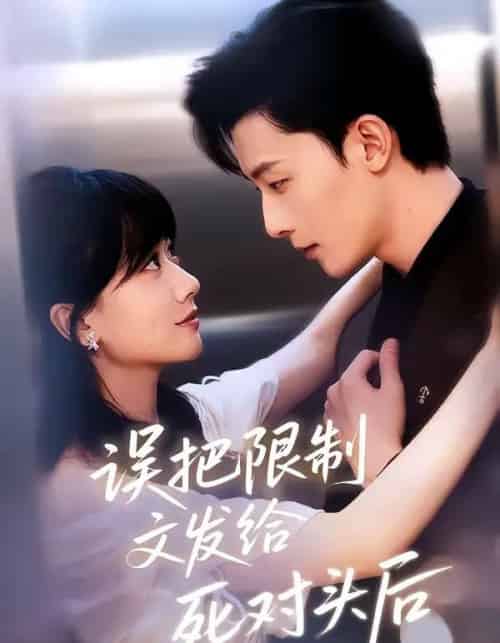 误把限制文发给死对头后（62集全）朱永强＆苟钰浠-搜外项目网