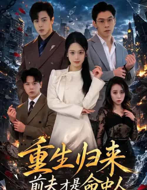 重生归来:前夫才是命中人(80集全)李向东&孙雨欣-搜外项目网