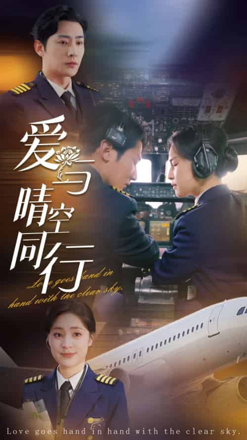 爱与晴空同行(81集全)于叔&宋彧佳-搜外项目网