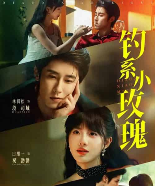 钓系小玫瑰（82集）林枫松＆田甜一-搜外项目网