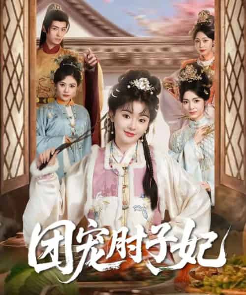 团宠肘子妃（71集全）夜逸＆廖慧敏（冷巴）-搜外项目网