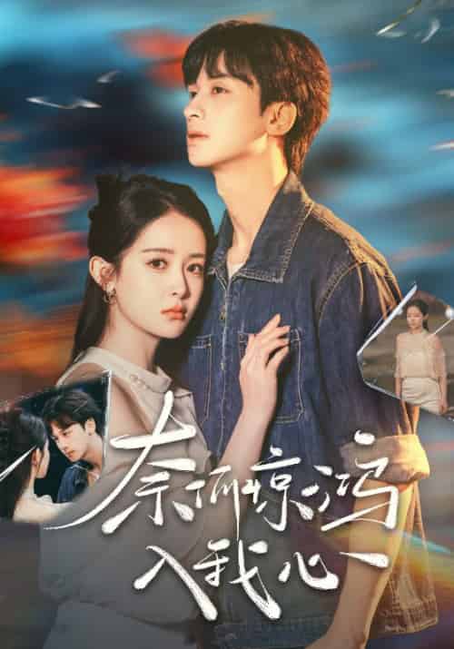 奈何惊鸿入我心（51集全）何坤＆王蔼玲-搜外项目网