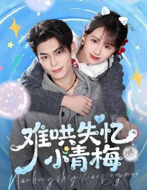 难哄失忆小青梅（76集全）张智鹏＆江来-搜外项目网