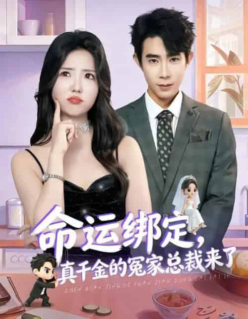 命运绑定，真千金的冤家总裁来了（80集全）郭士博＆李海蒂-搜外项目网