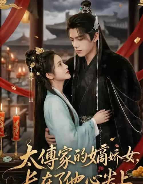 太傅家的嫡娇女长在了他心尖上（74集全）-搜外项目网