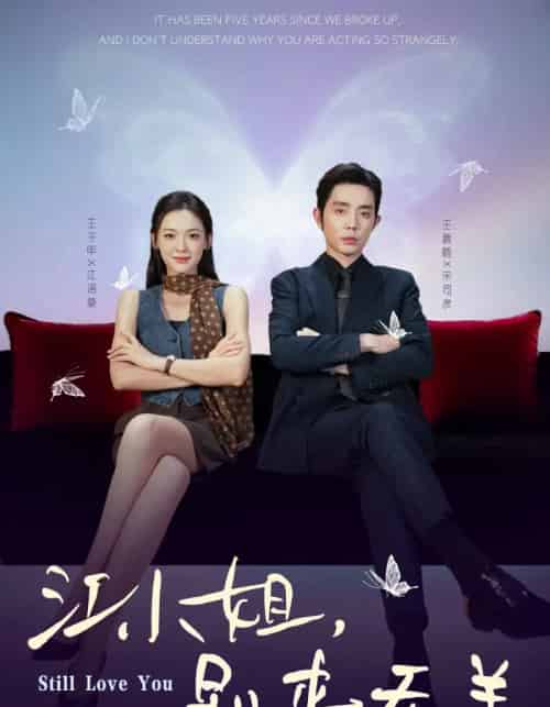 江小姐，别来无恙＆分手五年，宋先生别纠缠（92集全）王晨鹏＆王子甲-搜外项目网