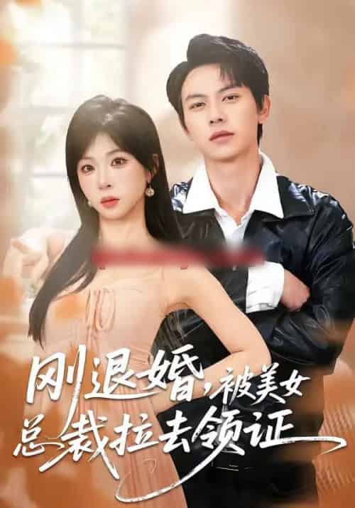 刚退婚，被美女总裁拉去领证（81集全）胡耀＆李沐汐-搜外项目网