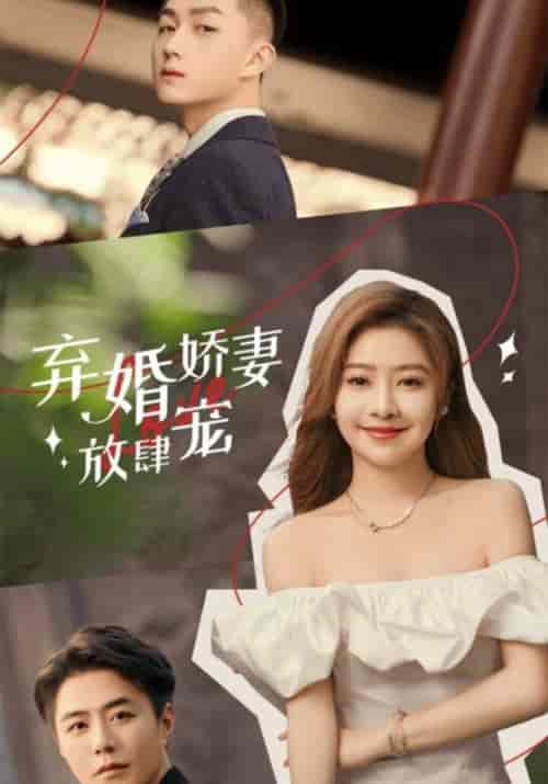 弃婚娇妻放肆宠（100集全）霍君墨＆韩景心-搜外项目网