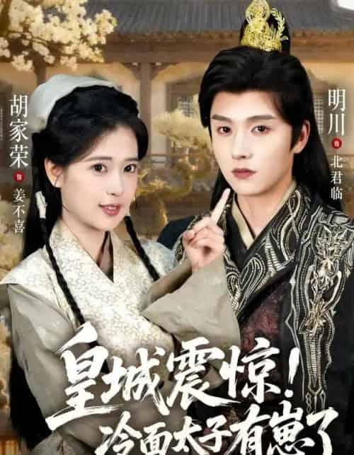 皇城震惊！冷面太子有崽了（105集全）明川＆胡家荣-搜外项目网