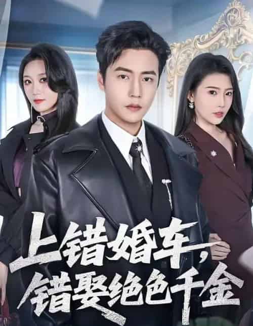 上错婚车，错娶绝色千金（80集全）申芳赫＆孙雪阳-搜外项目网