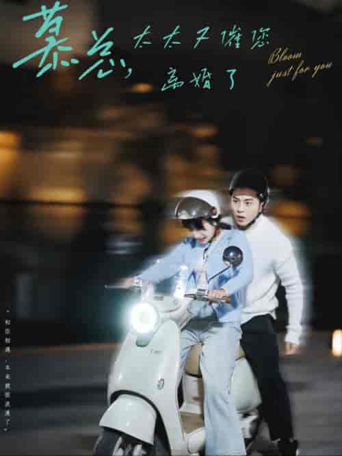 慕总太太又催您离婚了（80集全）李可乐＆象韵洁-搜外项目网