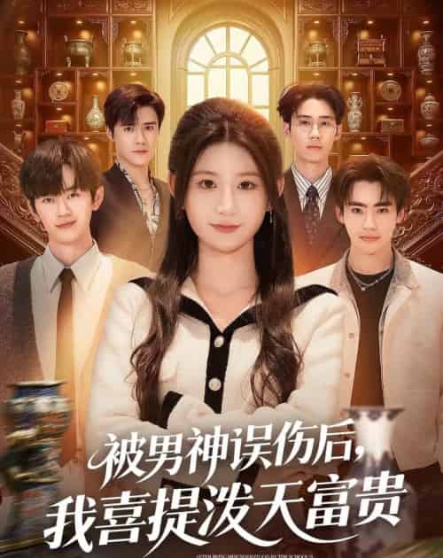 被男神误伤后，我喜提泼天富贵（82集全）杨珊子＆袁梓铭＆徐佳伟-搜外项目网