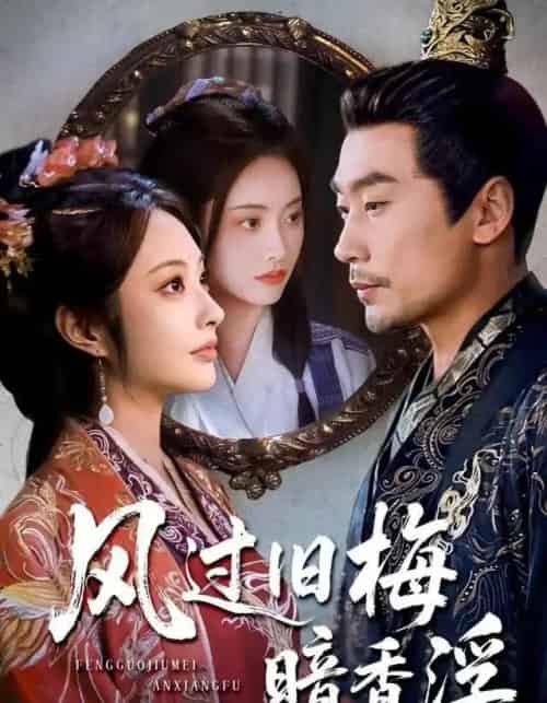 风过旧梅暗香浮＆枯梅待故人（75集全）生宸＆徐绍航-搜外项目网