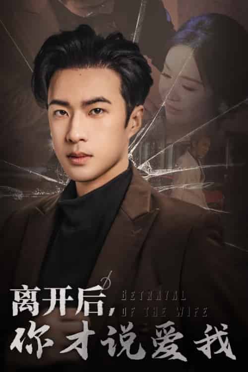 离开后你才说爱我＆心如枯木难逢春（30集）孔奇力-搜外项目网