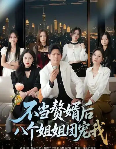 不当赘婿后八个姐姐团宠我（80集全）李青霖＆丁丁-搜外项目网