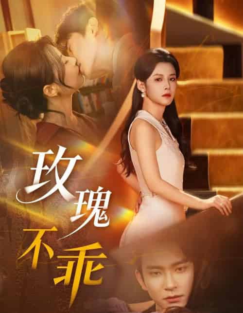 玫瑰不乖（69集全）王已歌＆谭雯文-搜外项目网