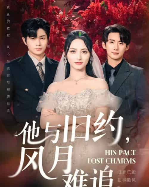 他与旧约风月难追（60集全）徐铭泽＆李虹艺-搜外项目网