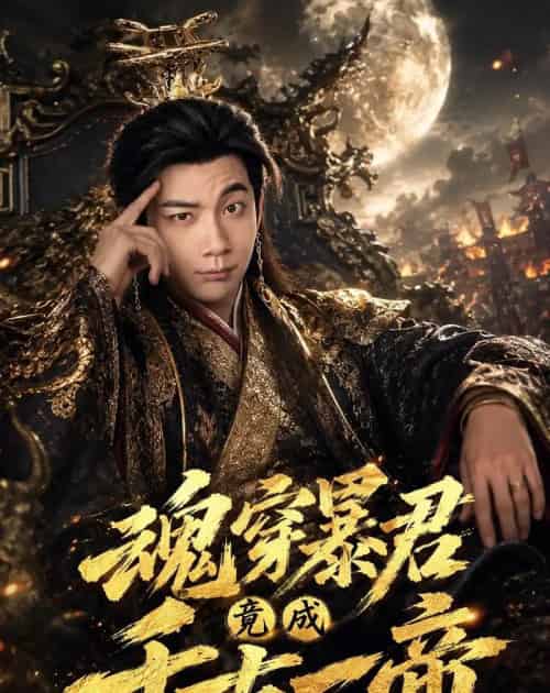 魂穿暴君竟成千古一帝（67集全）张玉轩＆俞俙-搜外项目网