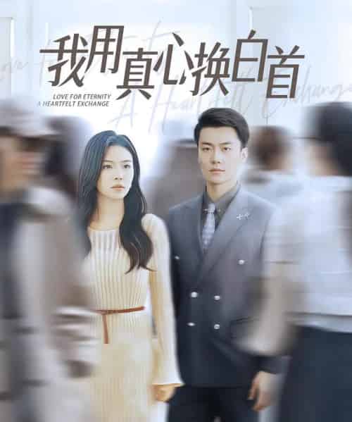 我用真心换白首(80集)杨航&陈梓豪-搜外项目网