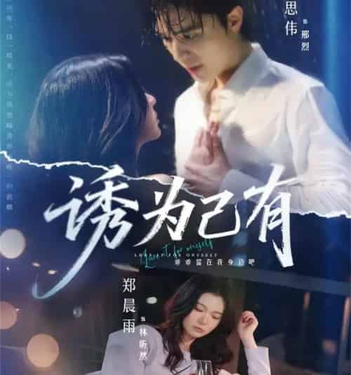 诱为己有（84集全）梁思伟＆郑晨雨-搜外项目网