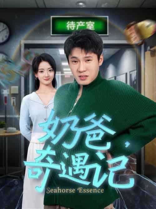 奶爸奇遇记（60集全）刘宇航-搜外项目网