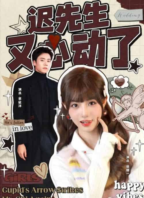 迟先生又心动了（80集全）蔡欣洋＆田甜一-搜外项目网