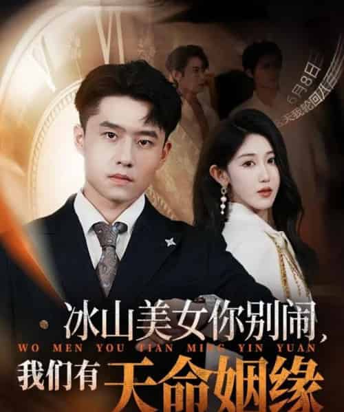 冰山美女你别闹我们有天命姻缘(61集全)翟兆星&赵美琦-搜外项目网