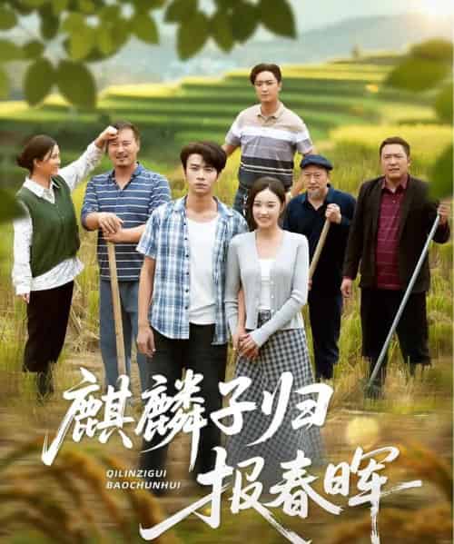 麒麟子归报春晖（36集全）夏欢亭＆吴俊杰-搜外项目网