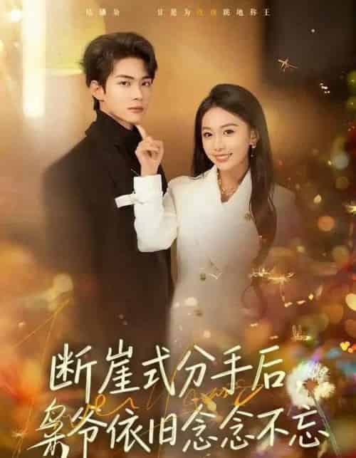断崖式分手后，枭爷依旧念念不忘（66集全）刘子洋＆谭煦哲-搜外项目网